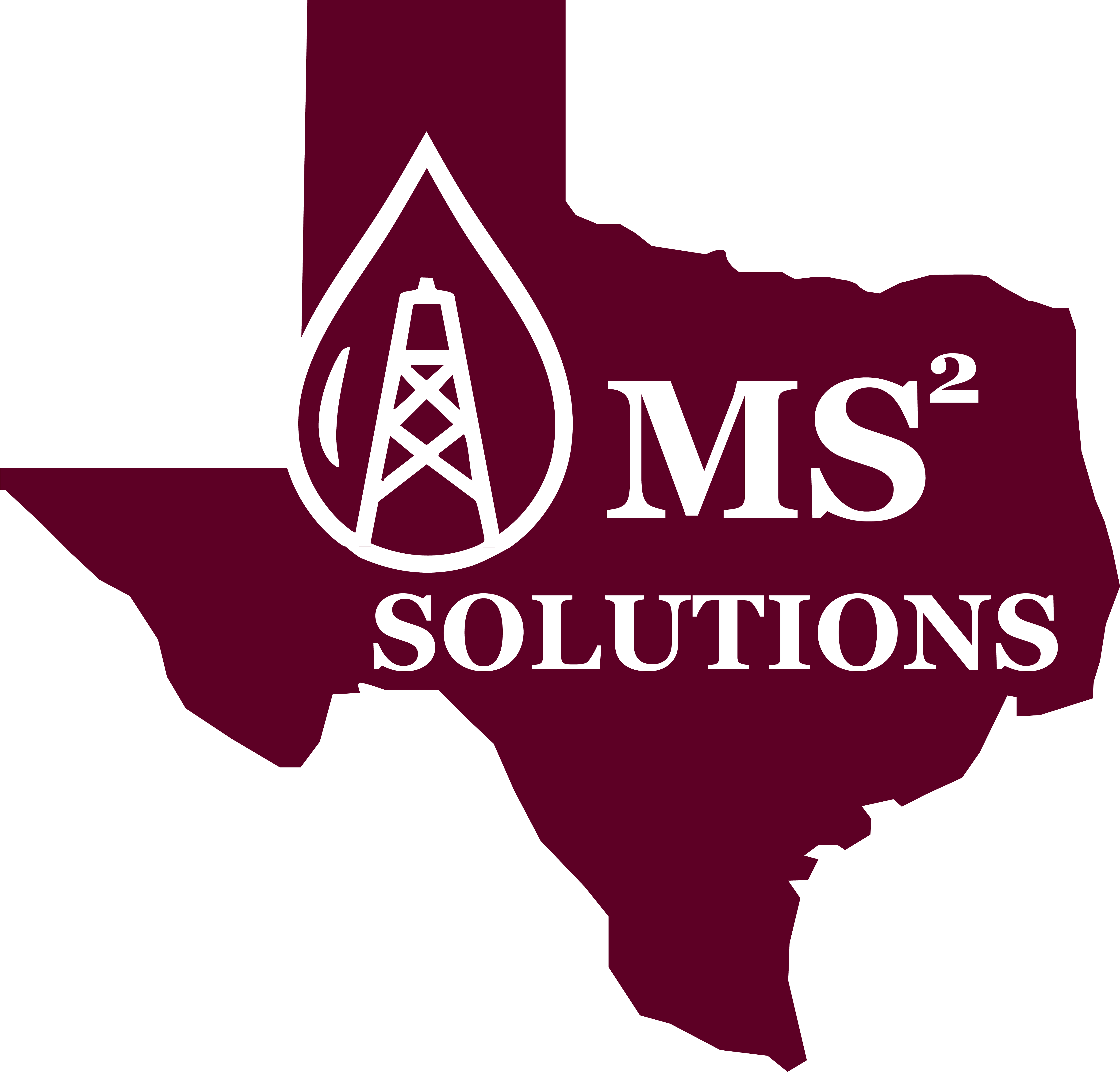 MS2-Solutions logo